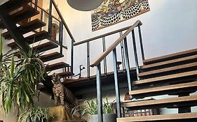 Loft By Conceptliving